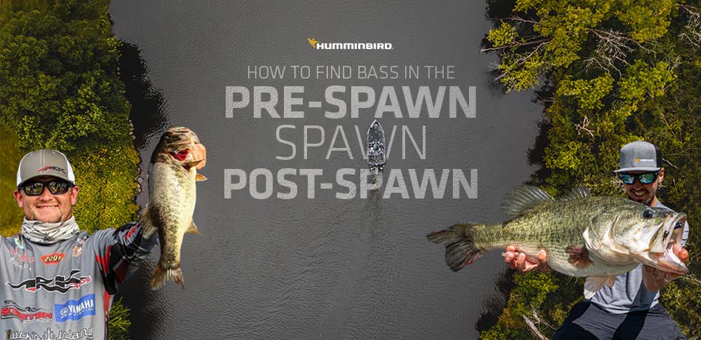 The Ultimate Guide to Bass Fishing During Spawn: Tactics, Timing, and Gear