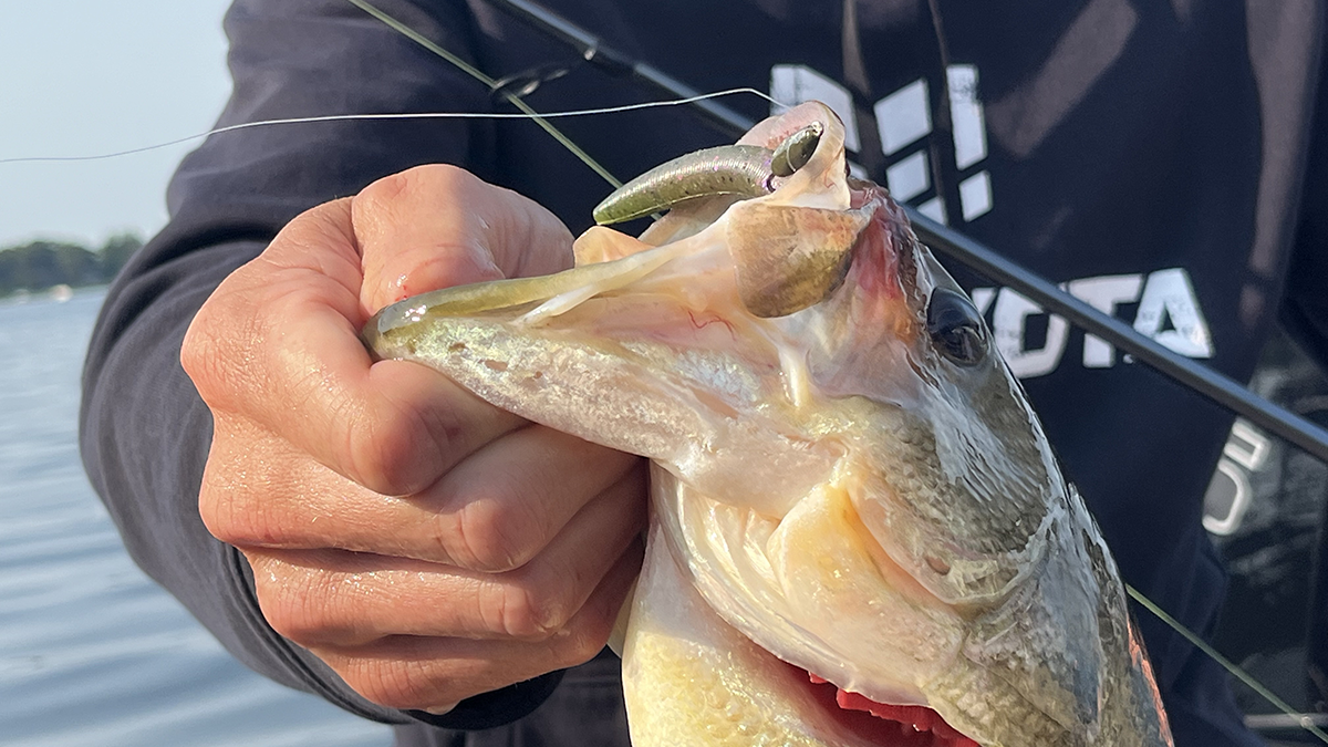 Ultimate Guide to Fishing with Wacky Jigs: Tips & Techniques