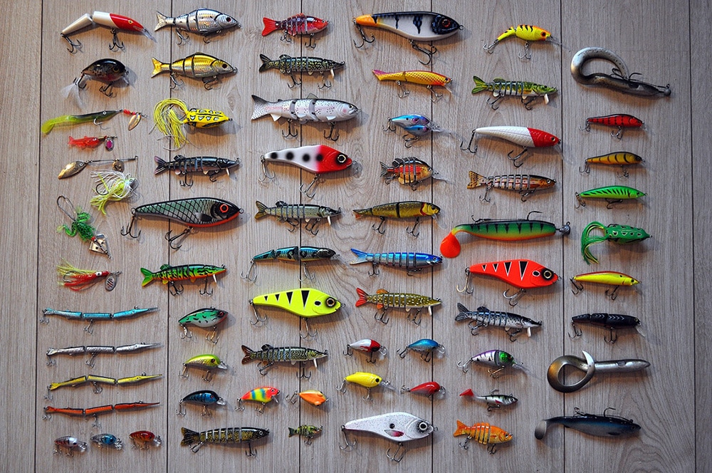 Best Colors for Fall Bass Fishing: Top Lures to Maximize Your Catch