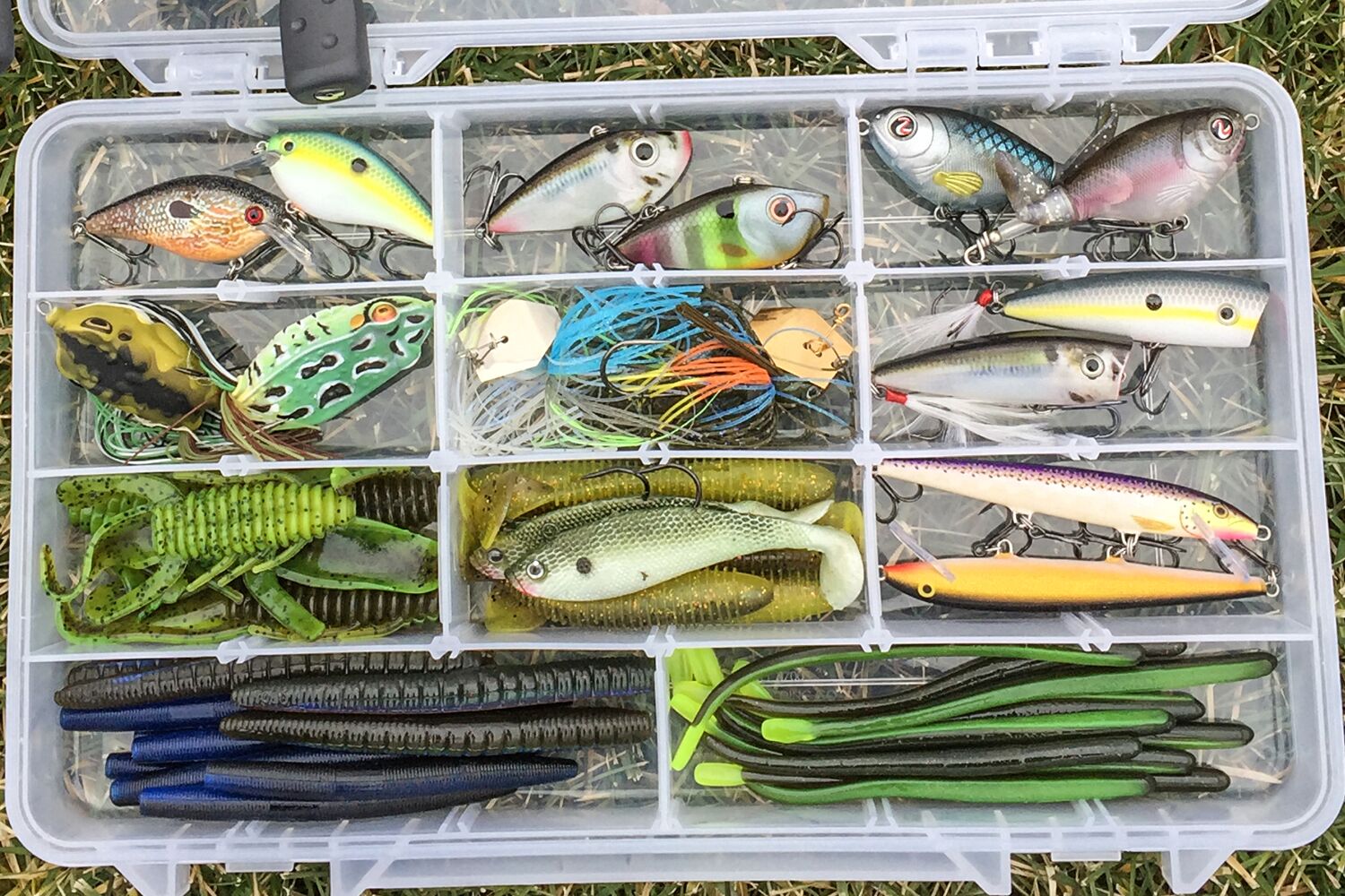 Maximize Your Catch: Ultimate Guide to Fall Bass Lures