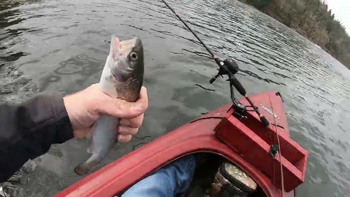 Silver Creek Reservoir Fishing: Top Spots & Techniques for Oregon Anglers