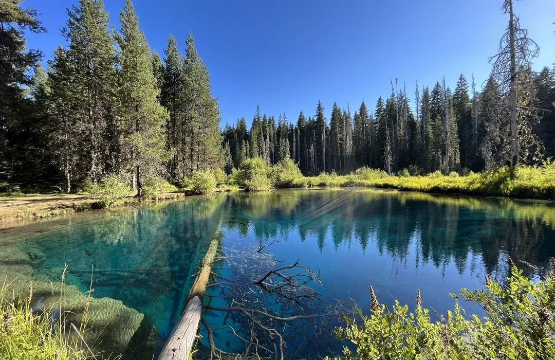 Hiking to Skookum Lake: A Hidden Gem in Oregons Mount Hood National Forest