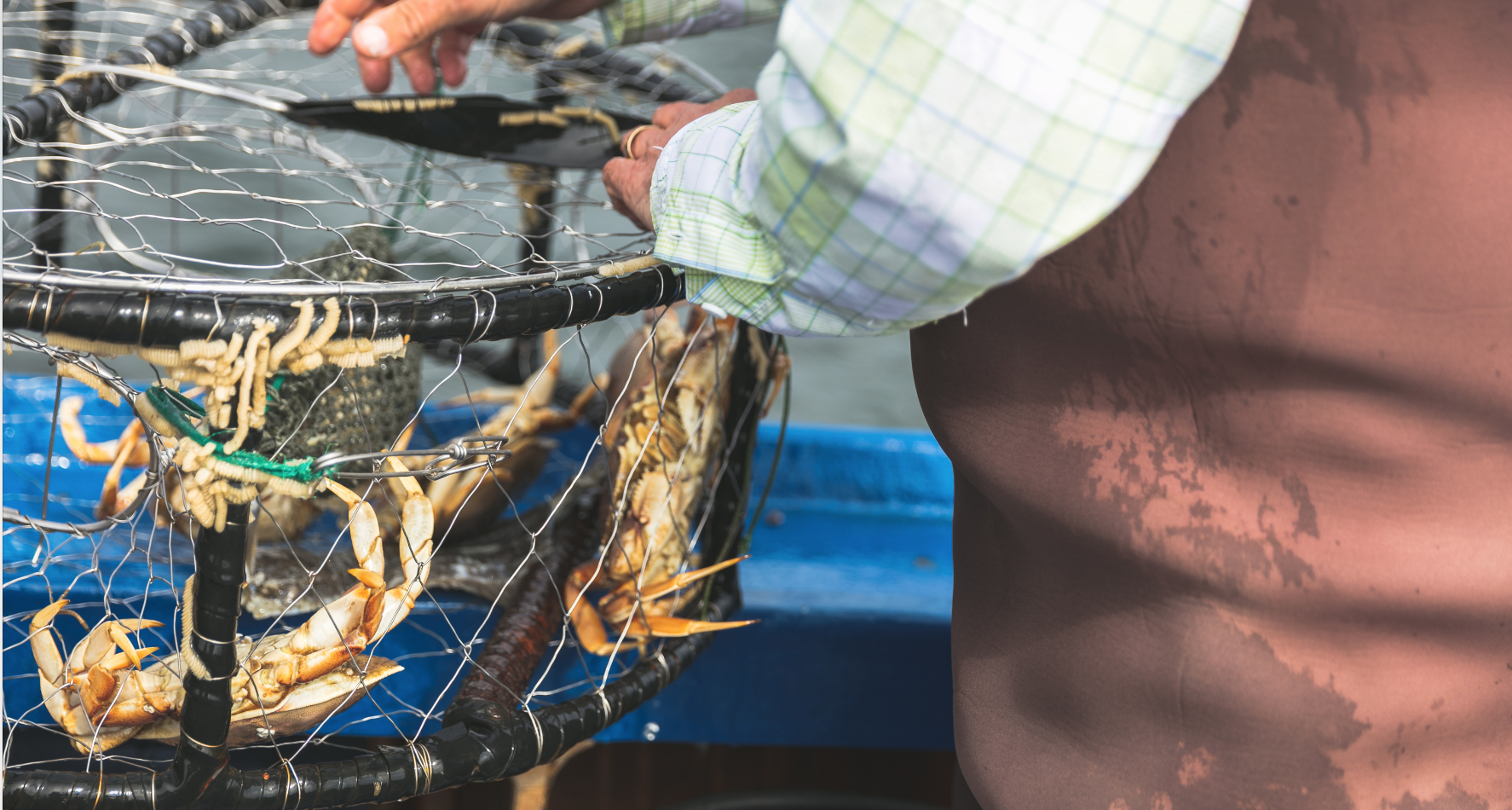 Explore Pacific City for Top Crabbing Adventures and Dungeness Crab Fishing