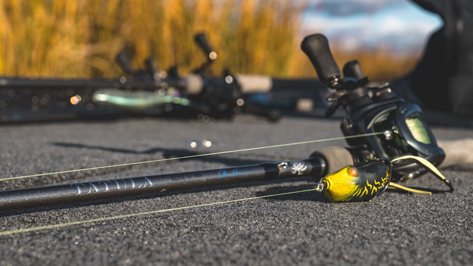 Daiwa Tatula Casting Rod Review: Performance and Sensitivity Tested