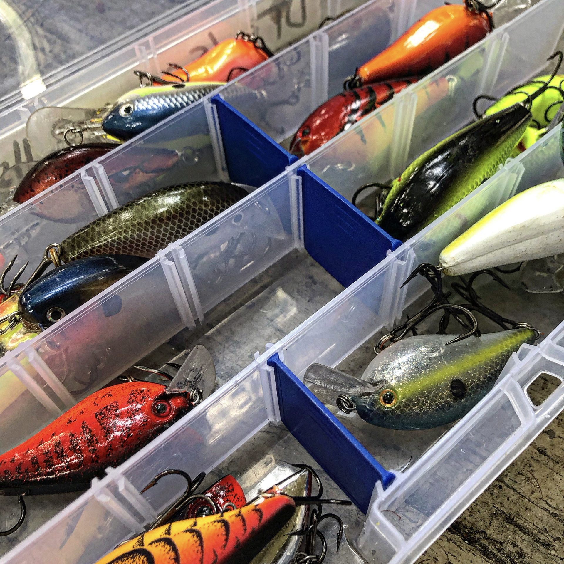 Ultimate Guide to the Best Crankbaits for Bass Fishing in 2024