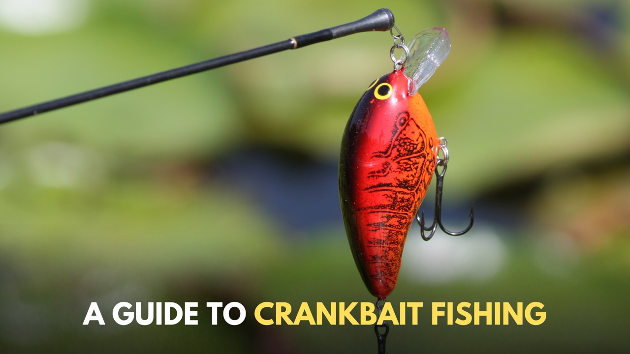 Ultimate Guide to the Best Crankbaits: Find the Perfect Lure for Every Fishing Situation