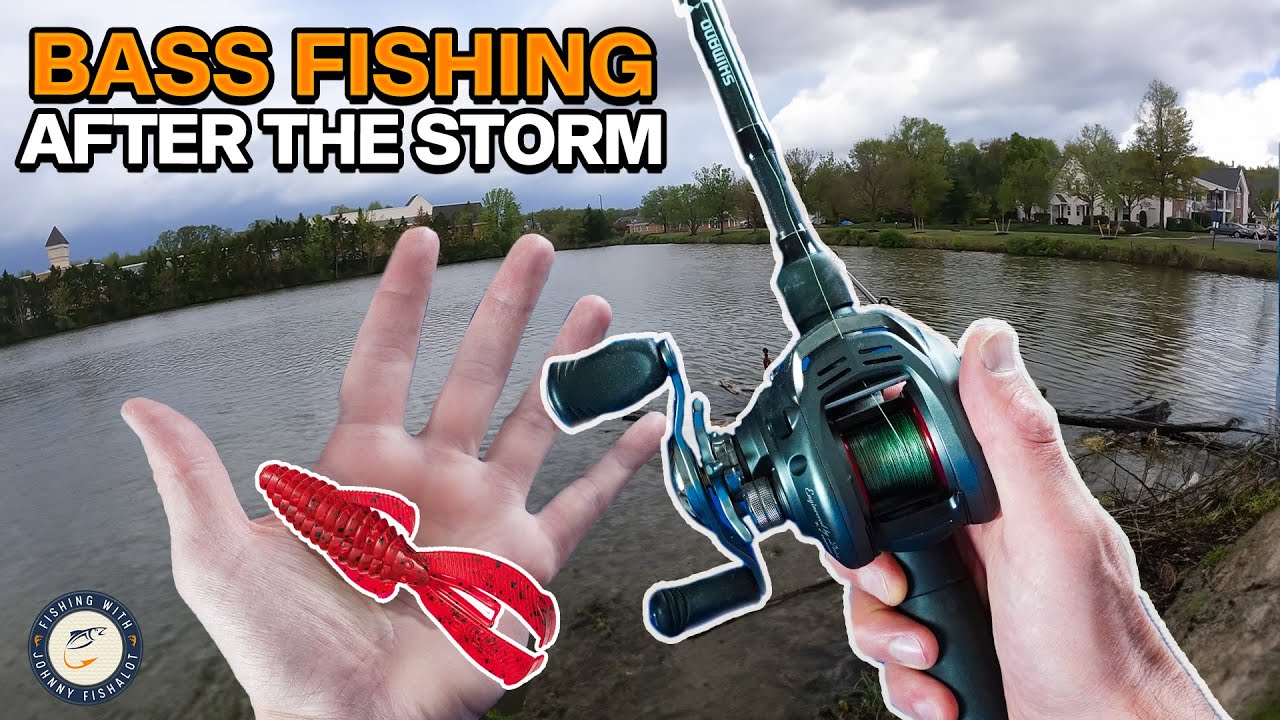 How to Catch Bass After a Storm: Expert Fishing Strategies