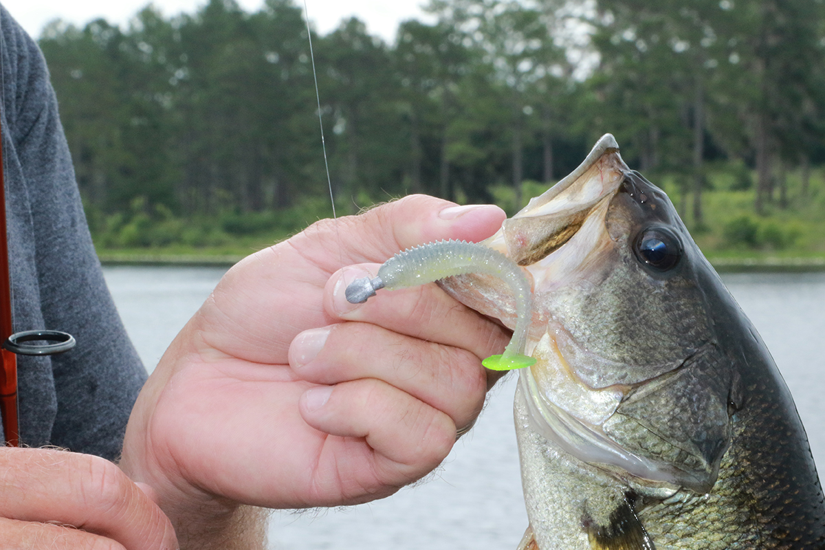 Ultimate Guide to Smallmouth Bass Swimbait Fishing Techniques