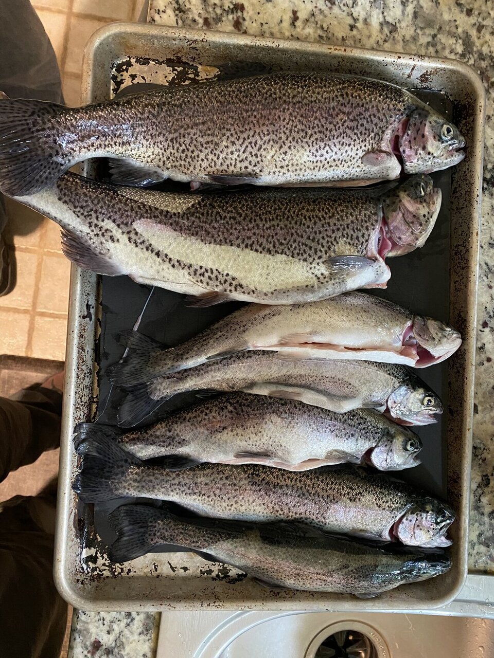 silverton reservoir fishing