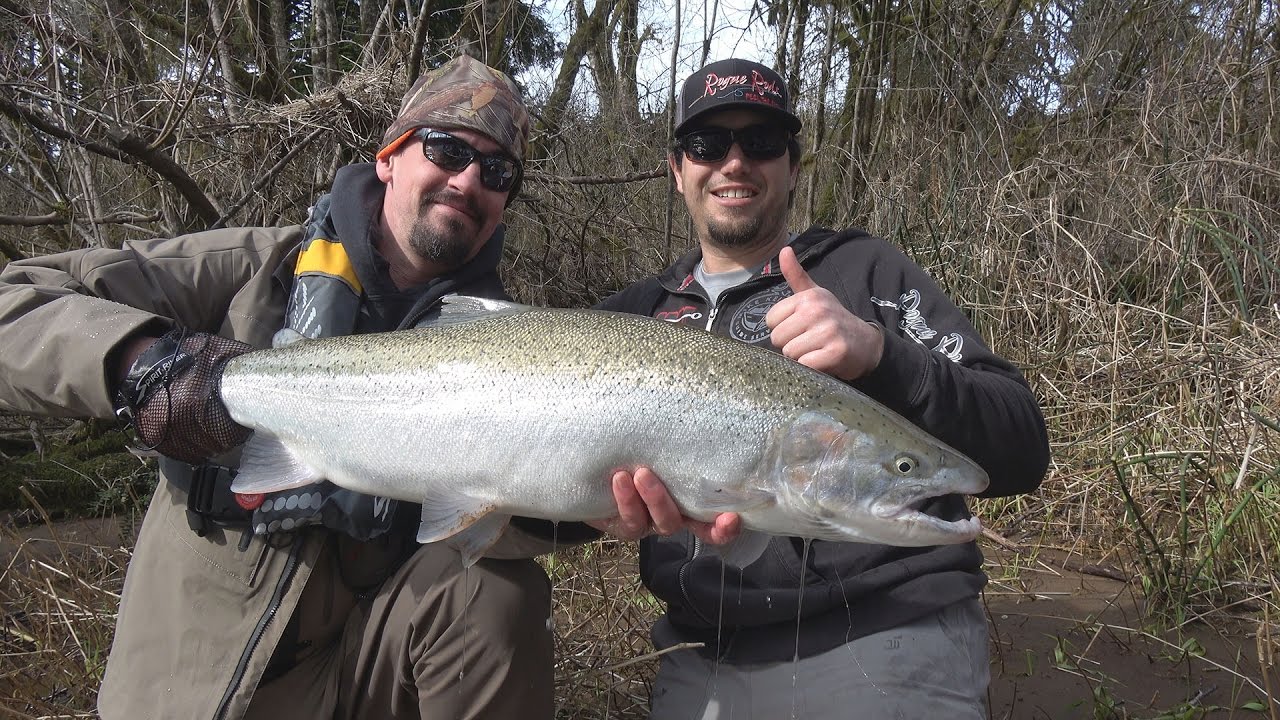 Siletz River Fishing Guide: Best Times for Chinook, Coho, and Trout in Oregon