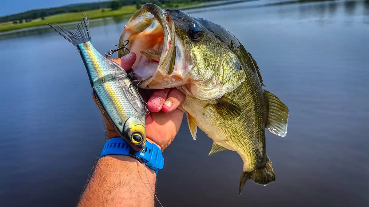 Catch More Bass with Glide Baits: Expert Tips and Reviews