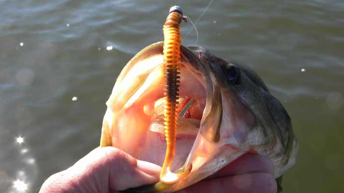 How to Master Jig Worm Fishing for Bass: Tips & Techniques