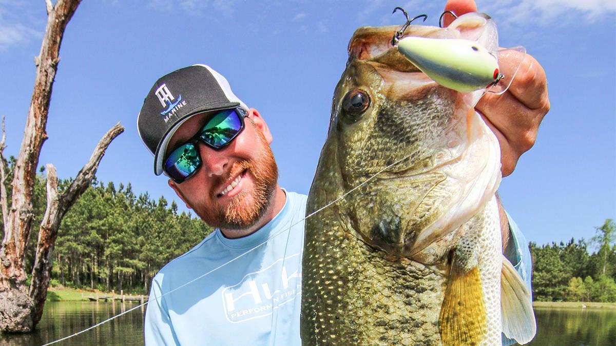 Best Tips for November Bass Fishing: Targeting Deep and Shallow Waters