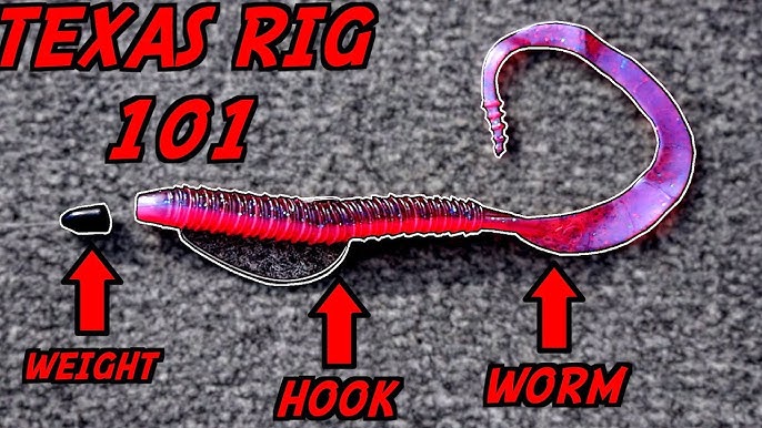 How to Master the Texas Rig Worm for Bass Fishing Success