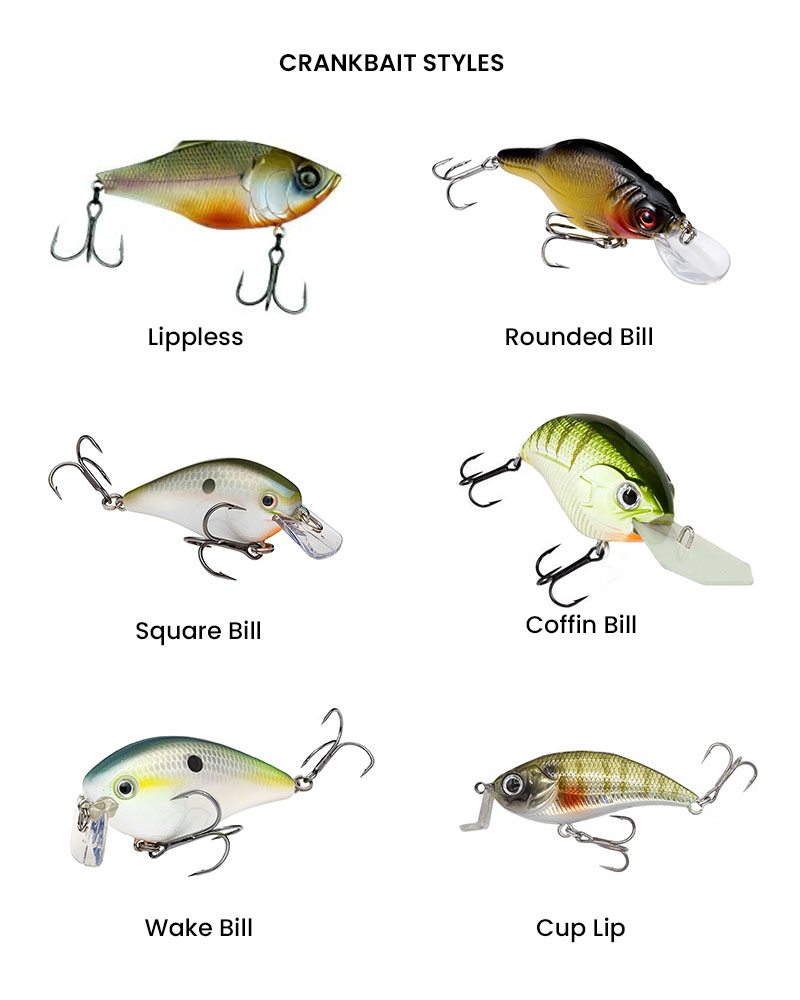 Essential Guide to Different Types of Crankbaits for Successful Fishing