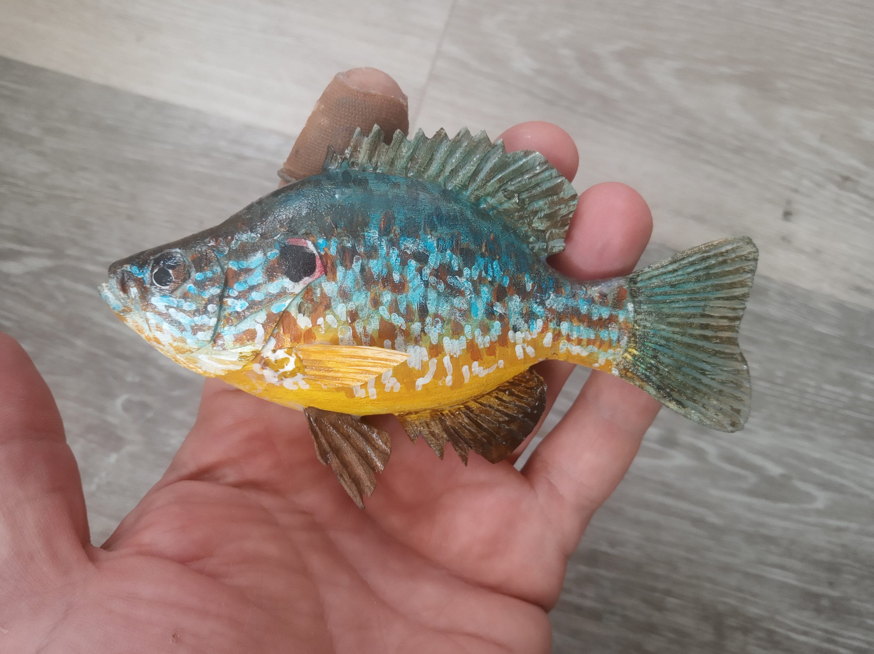 Buy Pumpkinseed Fish -  Shipped to Your Door Nationwide