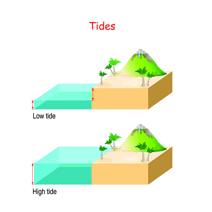 The Best Tide for Crabbing: High Tide or Slack Tide?