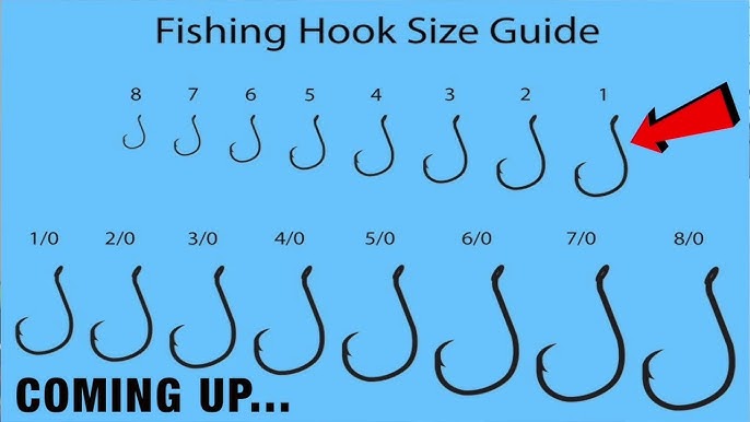 How to Choose the Right Hook Size for Bass Plastic Worms: Expert Tips