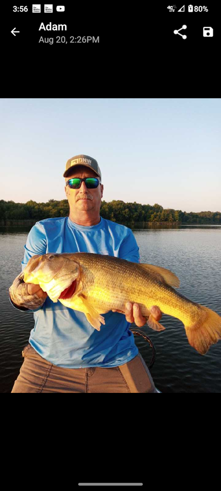 Updated Rend Lake Fishing Report: Best Baits & Fishing Spots