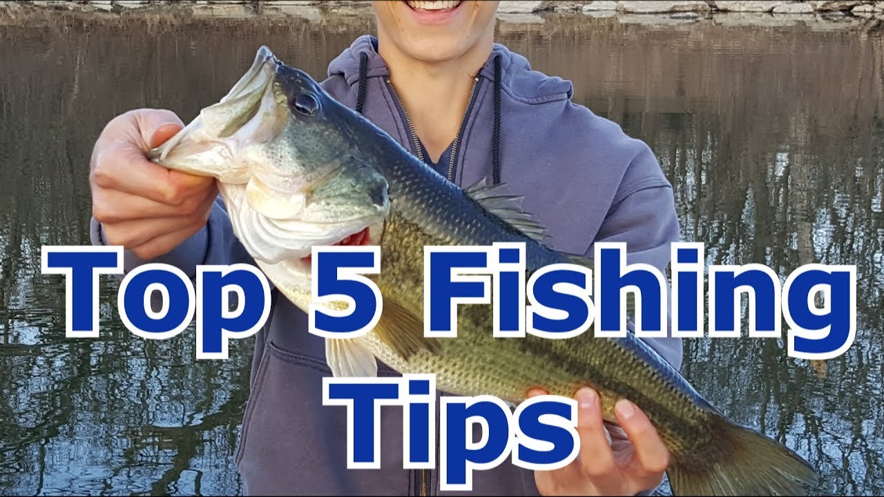 Top Fishing Techniques for Beginners: Tips to Catch More Fish