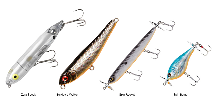 Best Spinning Lures for Bass: Top Picks and Tips