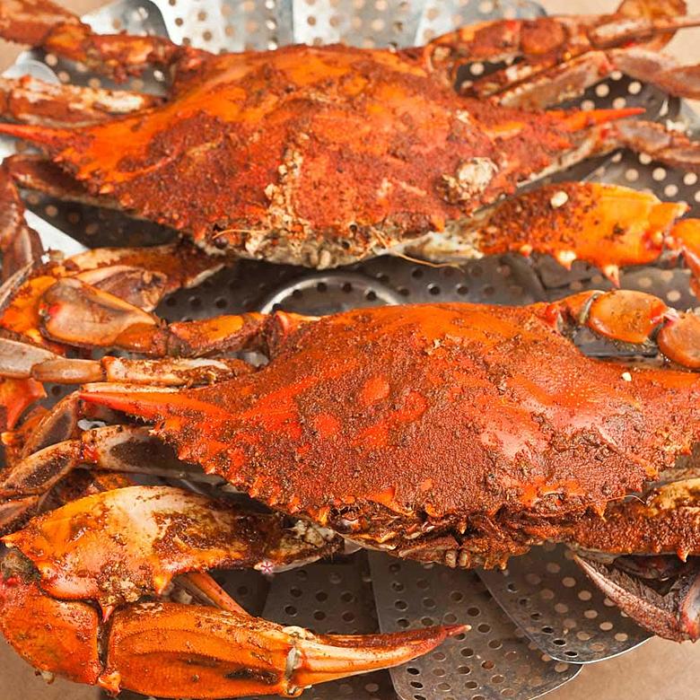 NJ Crabbing Reports: Get the Scoop Before You Go