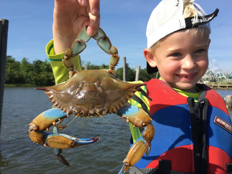 Curious about Crabbing in Louisiana? Heres the Best Time to Go