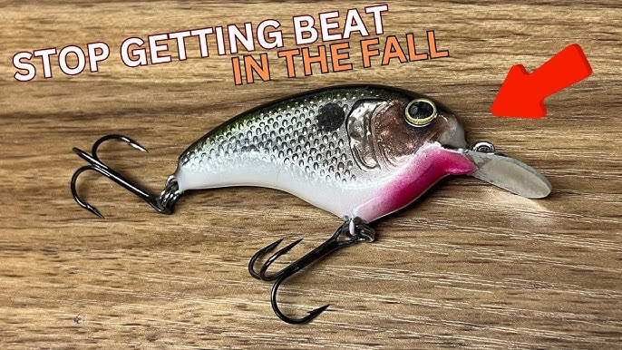 Unlocking the Secrets: Choosing the Right Fall Baits