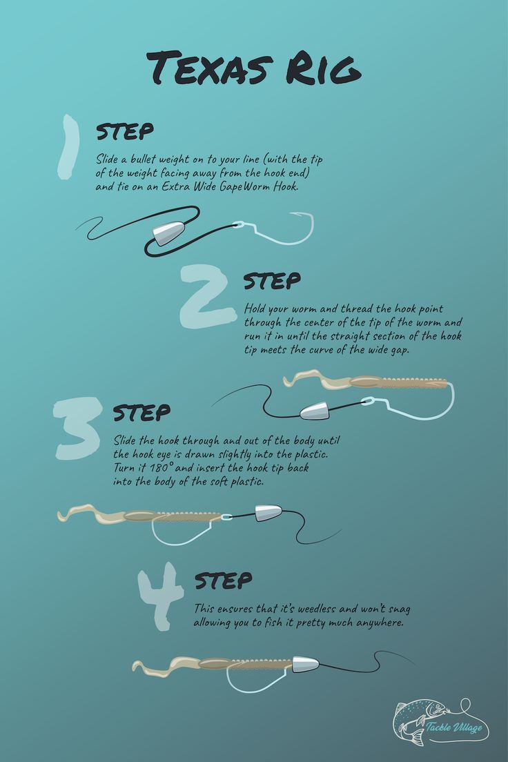 Worm Rigging: Step-by-Step Guide to Texas and Carolina Rigs