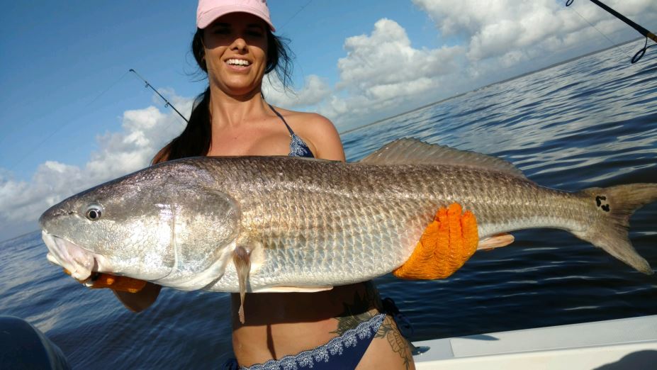 Need a Jekyll Island Fishing Report? Find Your Best Catch Here