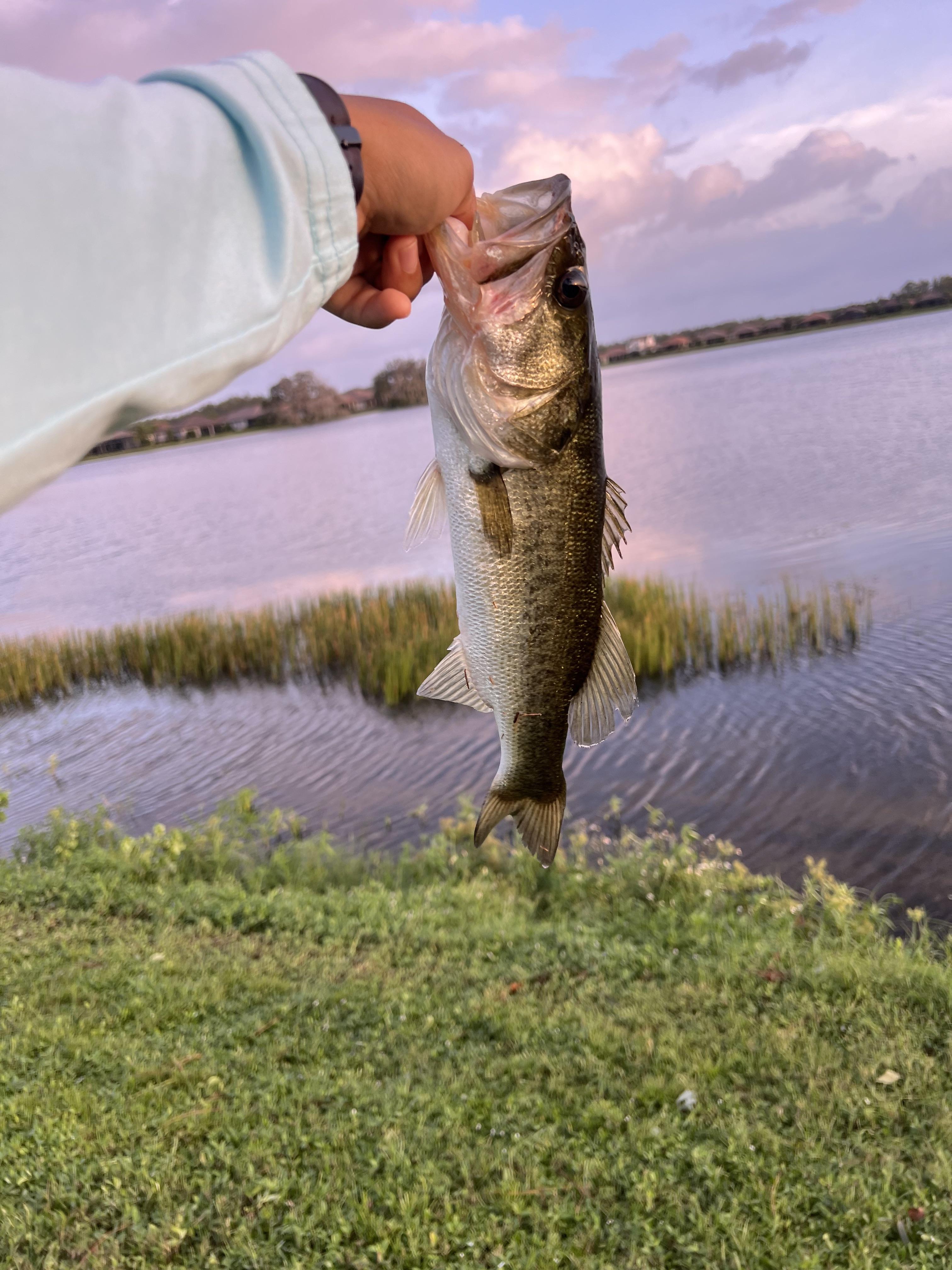 Do Bass Bite After a Storm? Heres the Quick Answer