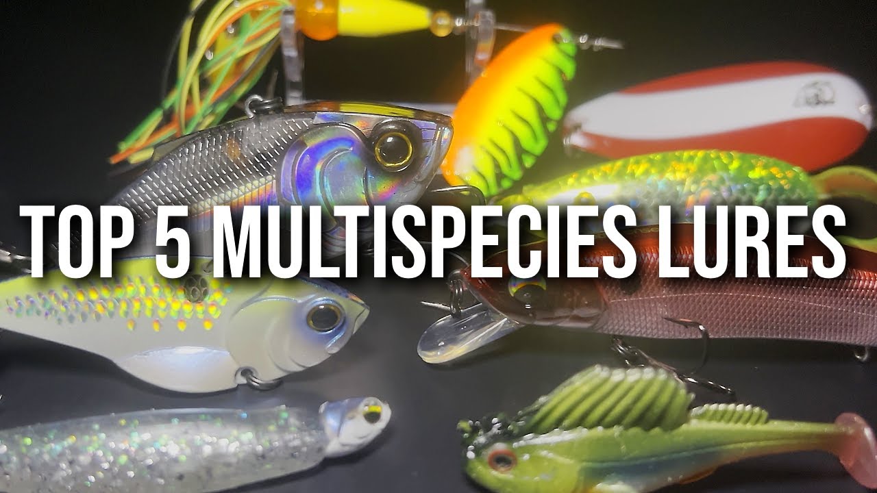 Catch More Fish! Best Multi Species Lures You Need Now