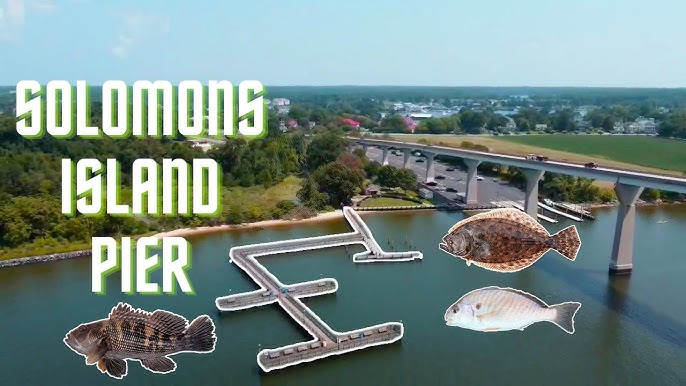 Solomons Island Pier Fishing Guide: Best Spots, Species, and Tackle