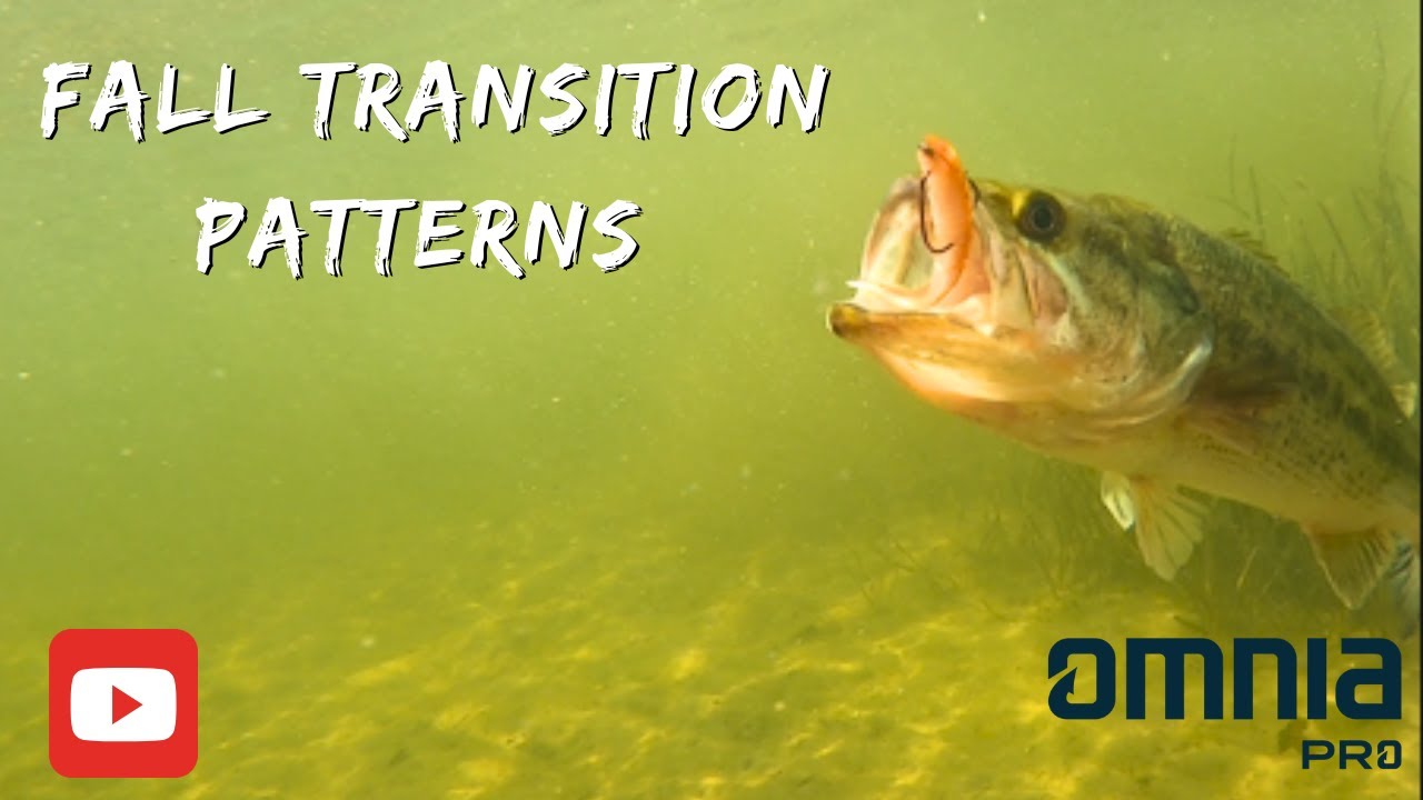 Discover the Best Fall Patterns for Bass Fishing Today