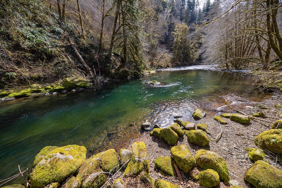 Nestucca River: Your Guide to Water Fun and Fishing