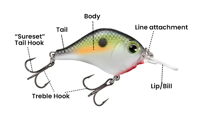 Effective Techniques for Using Medium Diving Crankbaits