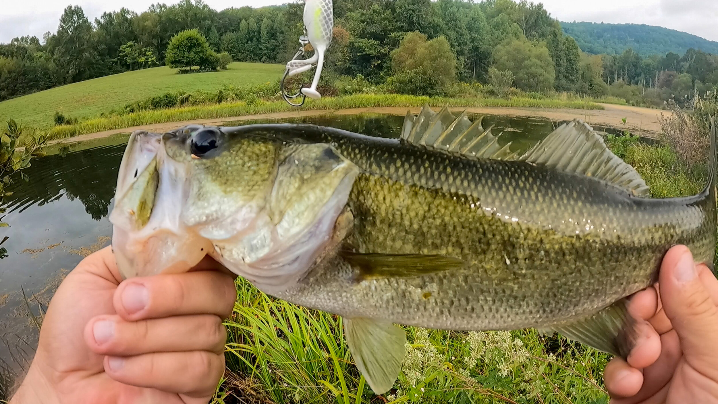 Pond Bass Fishing in the Fall: How to Catch More Fish