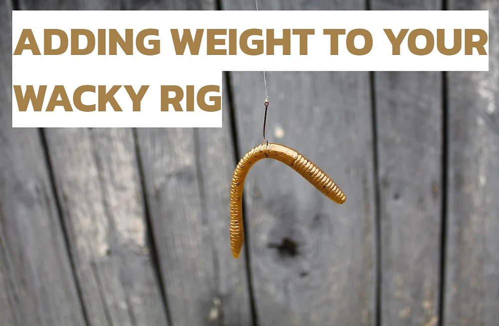 Wacky Worm Weights: What Are They and How to Use Them?