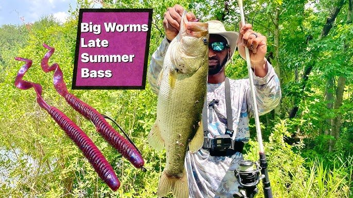 Top 3 Best Worm Rigs for Bass: Easy Techniques to Catch More