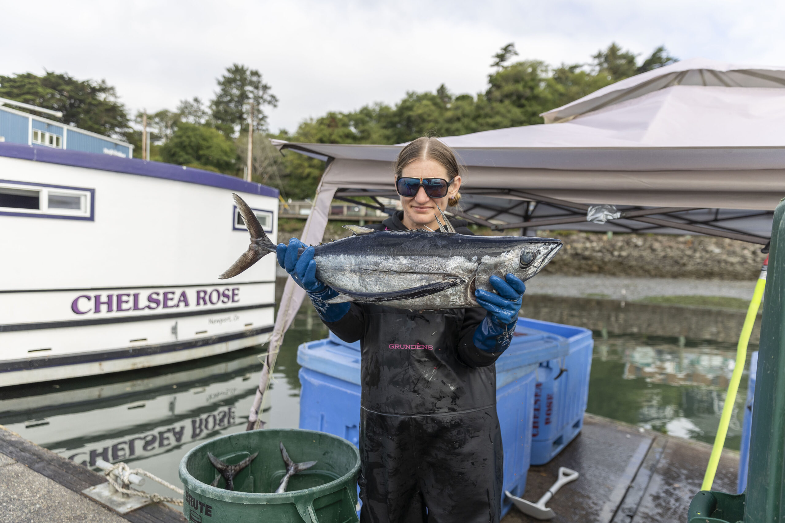 Where to Find Albacore Tuna in Oregon? Local Spots Revealed!