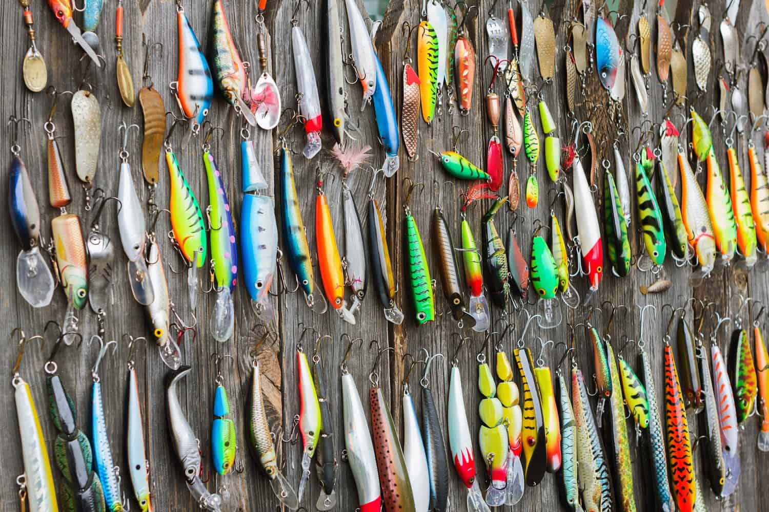 Unlocking the Secrets: Best Lures for Rainbow Trout in River Fishing