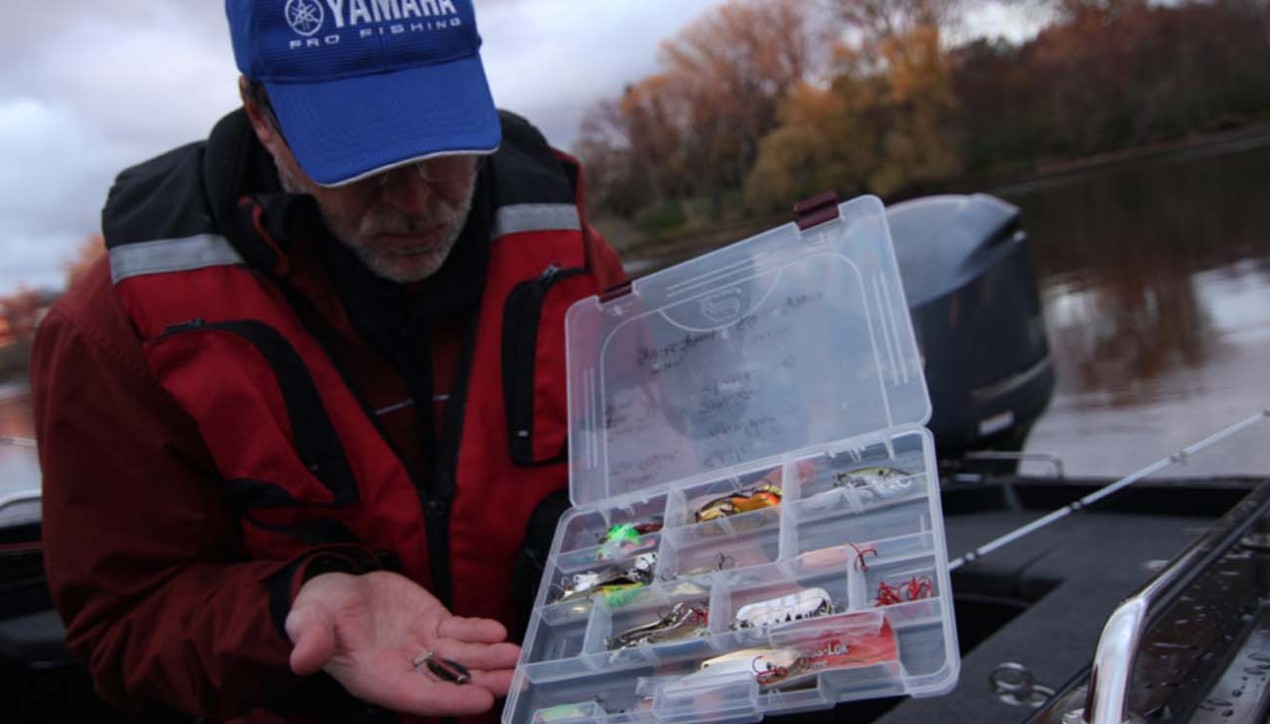 Unleash the Power of Tube Baits for Any Season