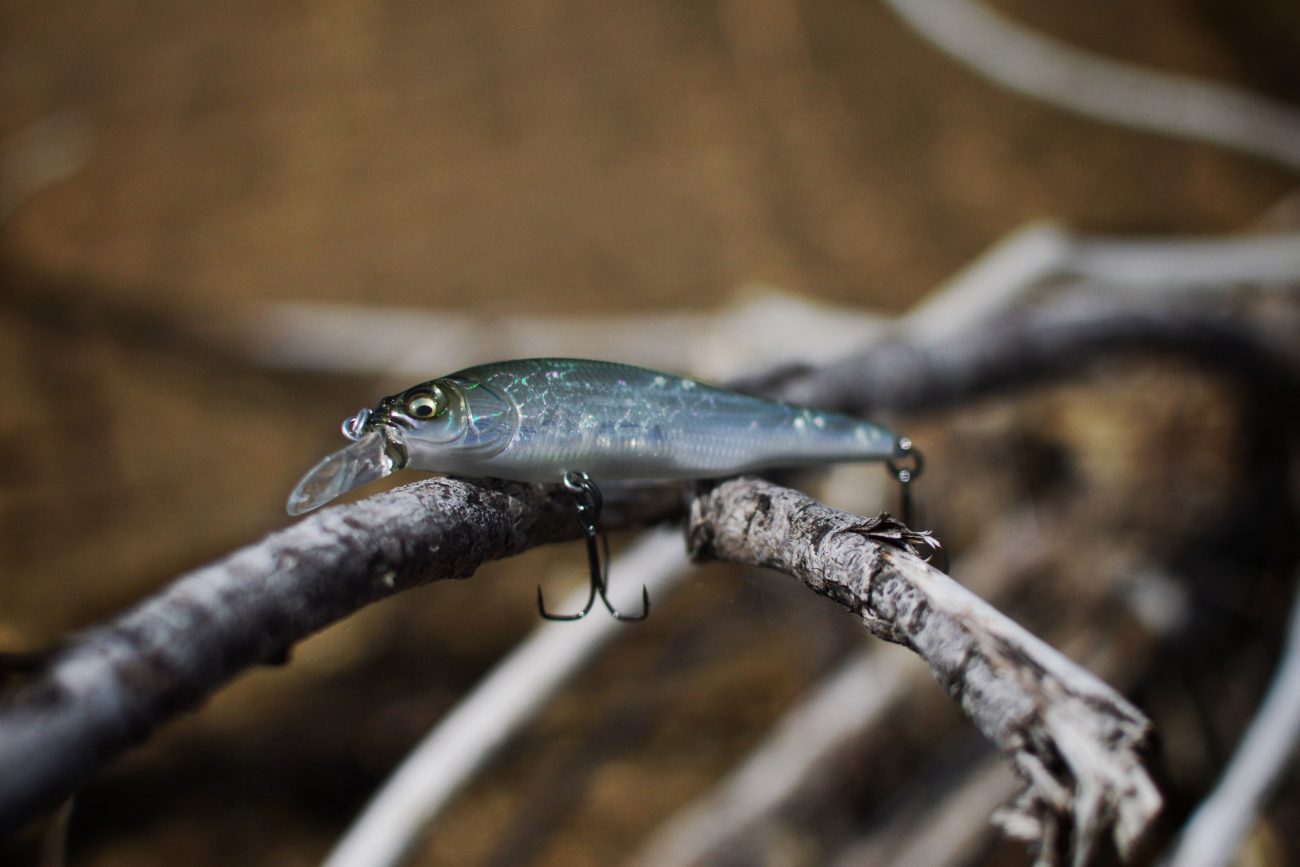 Unlocking the Secrets of Jerk Baits for Bass