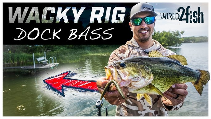 How to Catch Dock Bass: Simple Techniques for Success