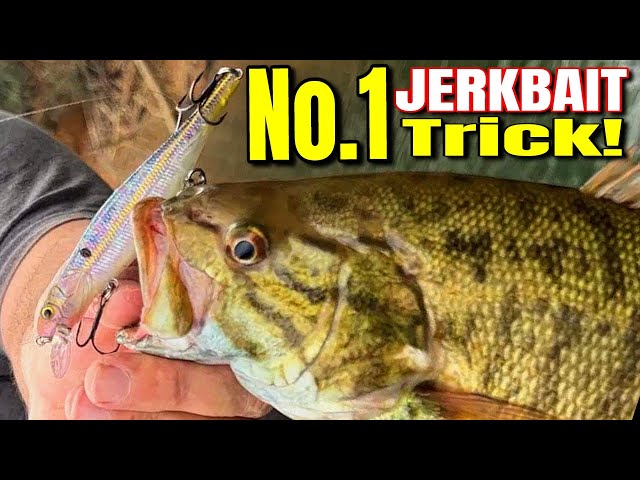 Unlocking the Secrets of Jerk Baits for Bass