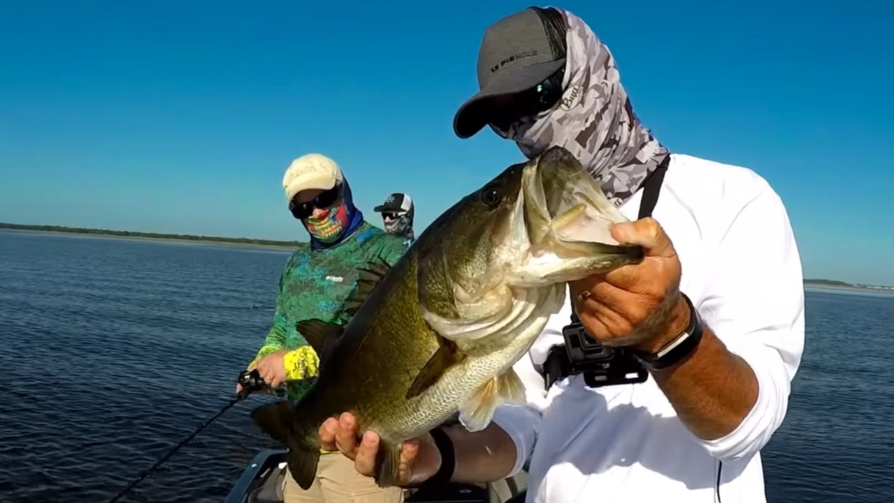 Pro Tips for Catching Big Bass in November: A Fishermans Guide