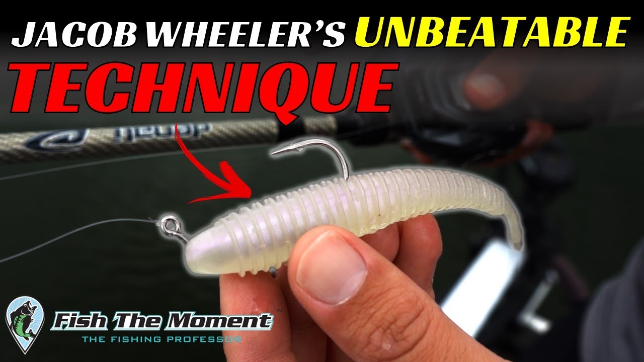 How to Use Freeloader Fishing Bait Like a Pro Angler