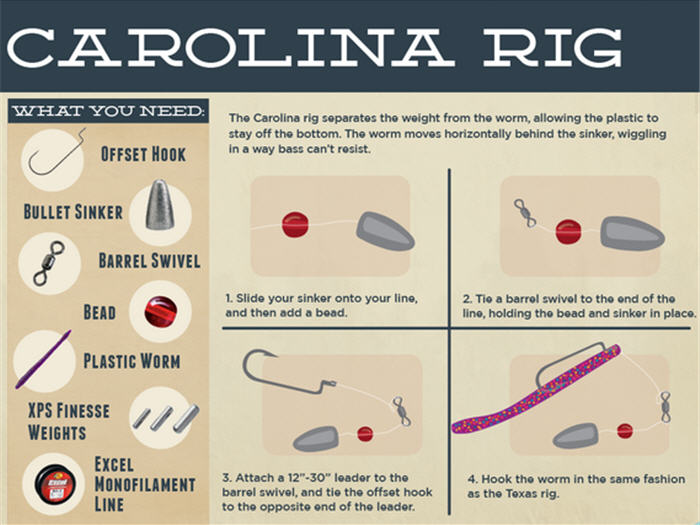 Worm Rigging: Step-by-Step Guide to Texas and Carolina Rigs