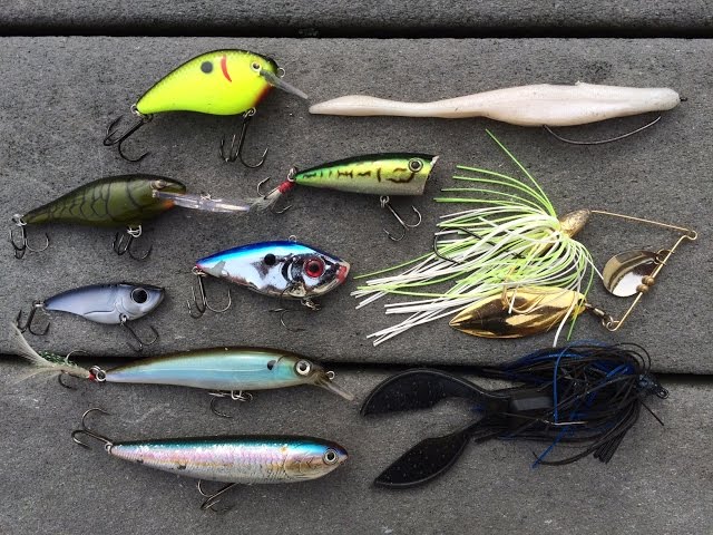 Catch More Bass This Late Fall with These Amazing Lures