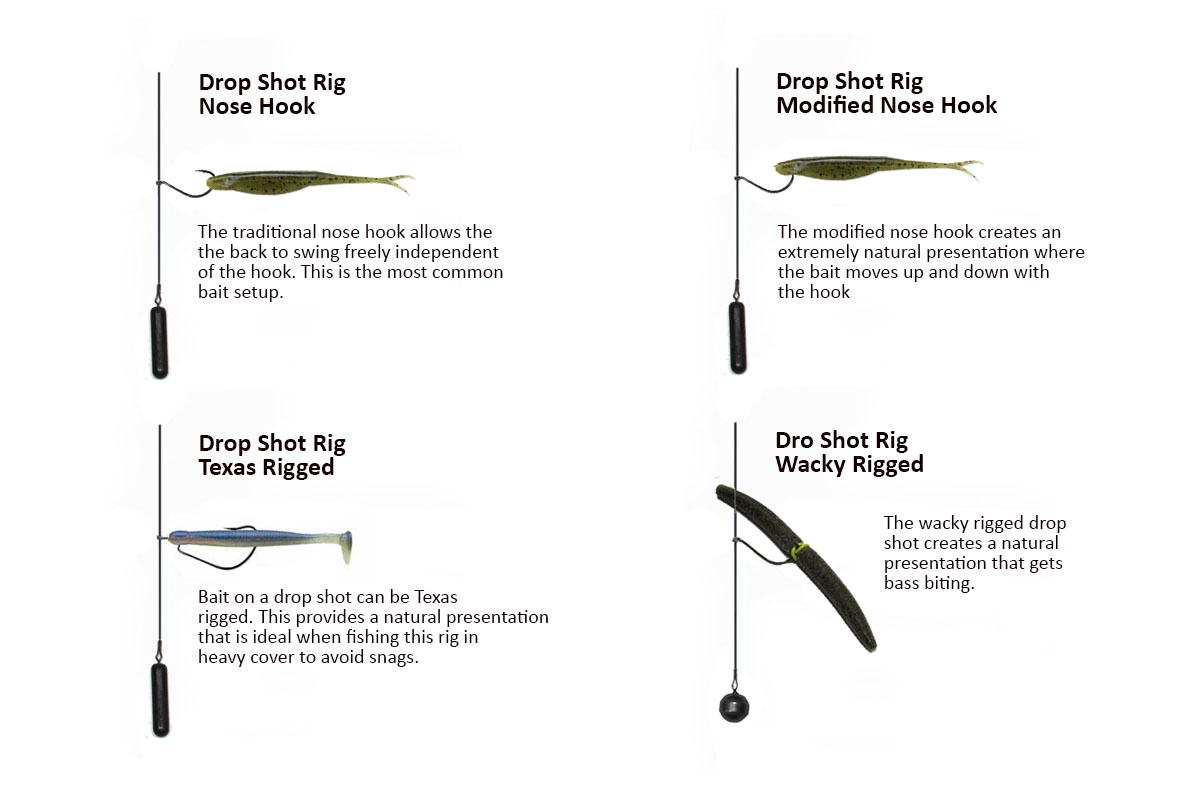 Freshwater Bass Rigs: Simple Setups for Catching More Fish